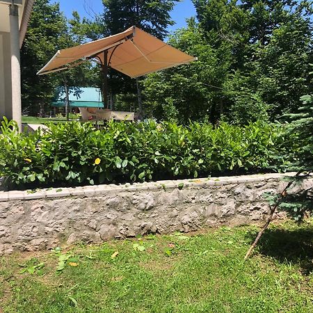 Mountain House Ivanova Korita Cetynia Zewnętrze zdjęcie